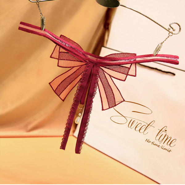 Women’s Sheer Mesh Lingerie Dress – Sexy Ribbon Strap Mini Nightwear