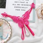 Women’s Sexy Lace Butterfly Embroidered Panties – Low Waist Sheer Thong in Multiple Colors