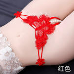 Women’s Sexy Lace Butterfly Embroidered Panties – Low Waist Sheer Thong in Multiple Colors